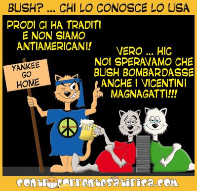 vicenza_gatti.jpg